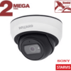IP-камера купольная SV2005DBS
