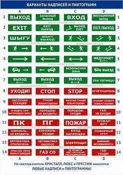 Оповещатель комбинированный Электротехника и автоматика Кристалл-24-К "Выход"