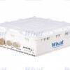 WF-DSS/1